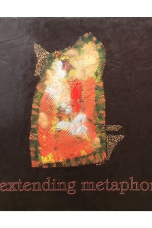 Extending Metaphors