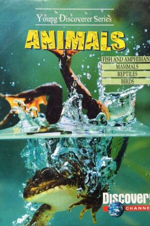 Young Discoverer Series Animals