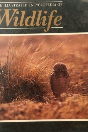 The Illustrated Encyclopedia of Wildlife Volume 55
