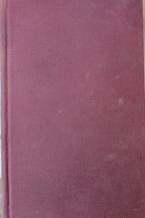 David Copperfield Charles Dickens