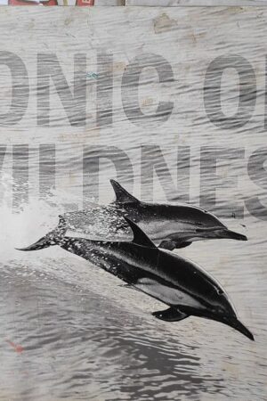 Tonic of Wildness