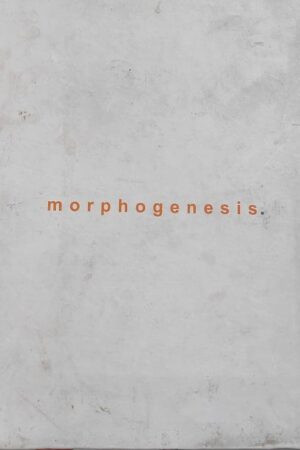 Morphogenesis