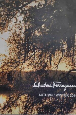 Salvatone Ferragamo Autumn / Winter 2010