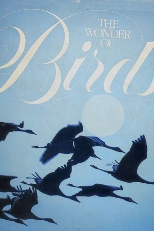 The Wonder of Birds