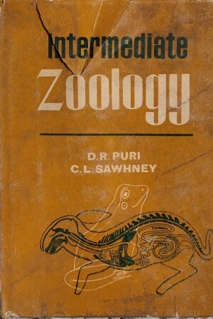 intermediate zoology