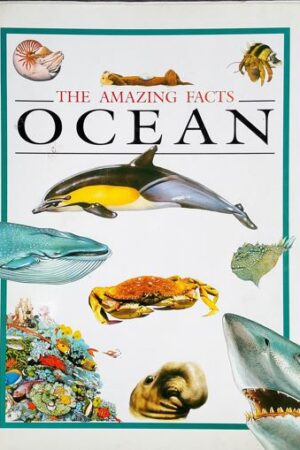 The Amazing Facts - OCEAN