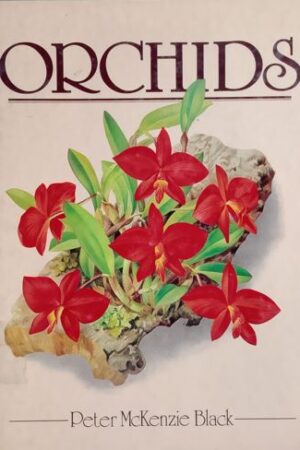 Orchids