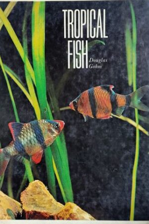 Tropical Fish