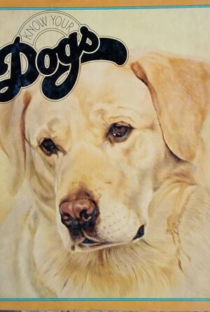Know Your Dogs