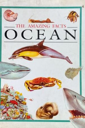 The Amazing Facts Ocean