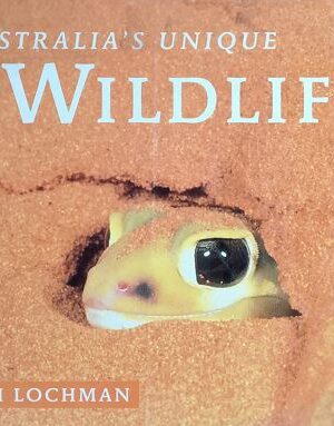 Australia's Unique Wildlife