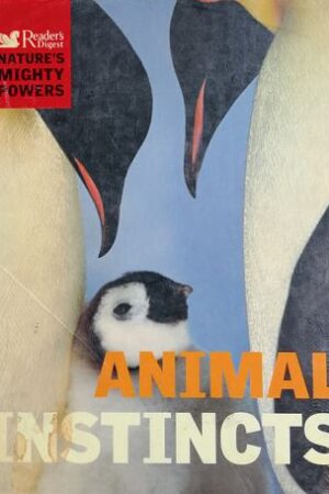 Animal Instincts