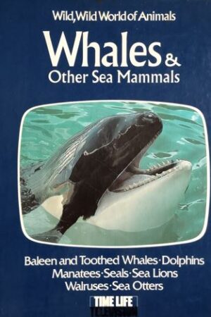 Whales & others sea Mammals