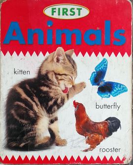 Animals