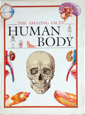 The Amazing facts : Human Body