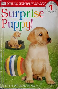 Surprise Puppy