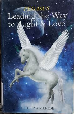 Leading The Way To Light  Love