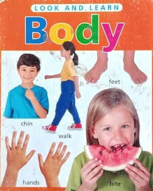 Body