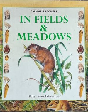 Infields & Meadows