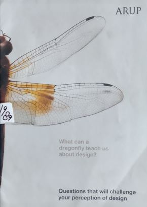 what can A Dragonfly Teach Us About design ?