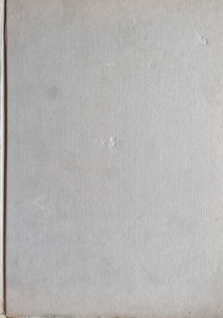 Daley : The Last Ten Years