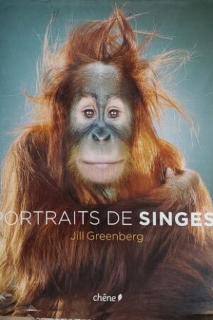 Portraits De Singes