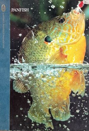 Panfish