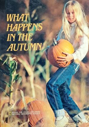 What Happens in The Autumn