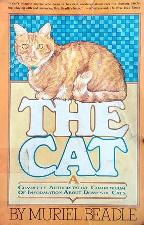 The Cat