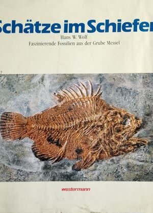 Schatze Im Schiefer