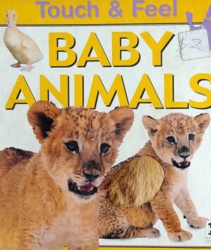 Baby Animals