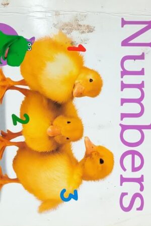 Numbers