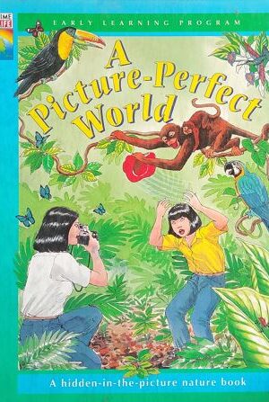 A Picture-Perfect World