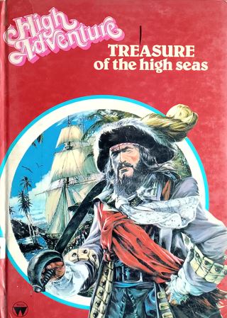 Treasure Of The High Seas