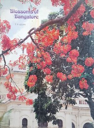 Blossoms Of Bangalore