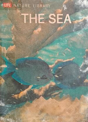 The Sea