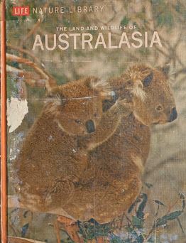 The Land And Wildlife Of Australia