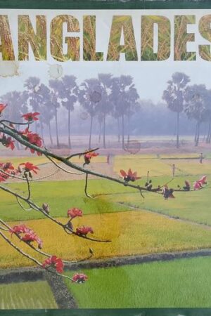 BANGLADESH -Mosaic in Green