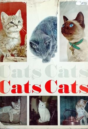 CATS CATS CATS CATS