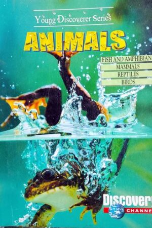 Animals