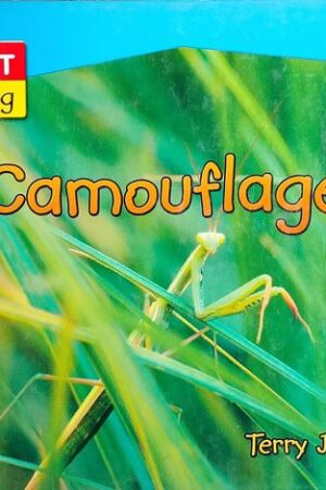 Camouflage