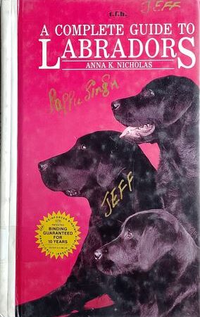 A Complete Guide to Labradors