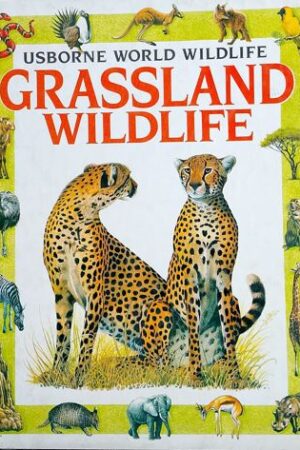 Grassland Wildlife