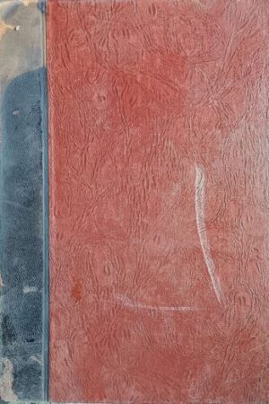 New English-Japanese Dictionary