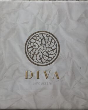 D I V A    - Living Your Life